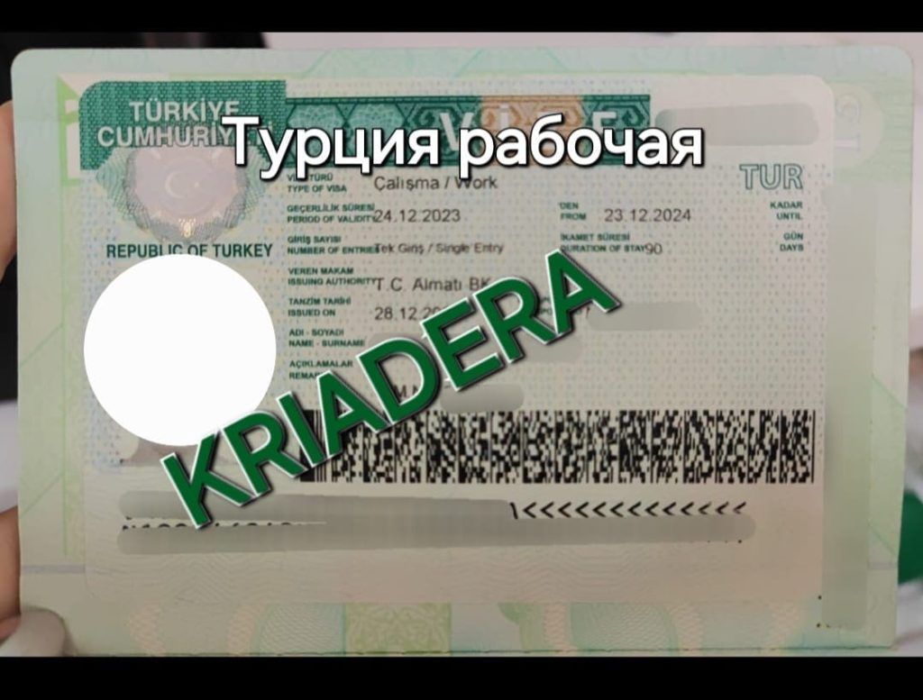 Виза в Турцию для граждан Казахстана в 2024 году: нужна ли виза, как  получить рабочую, студенческую визу