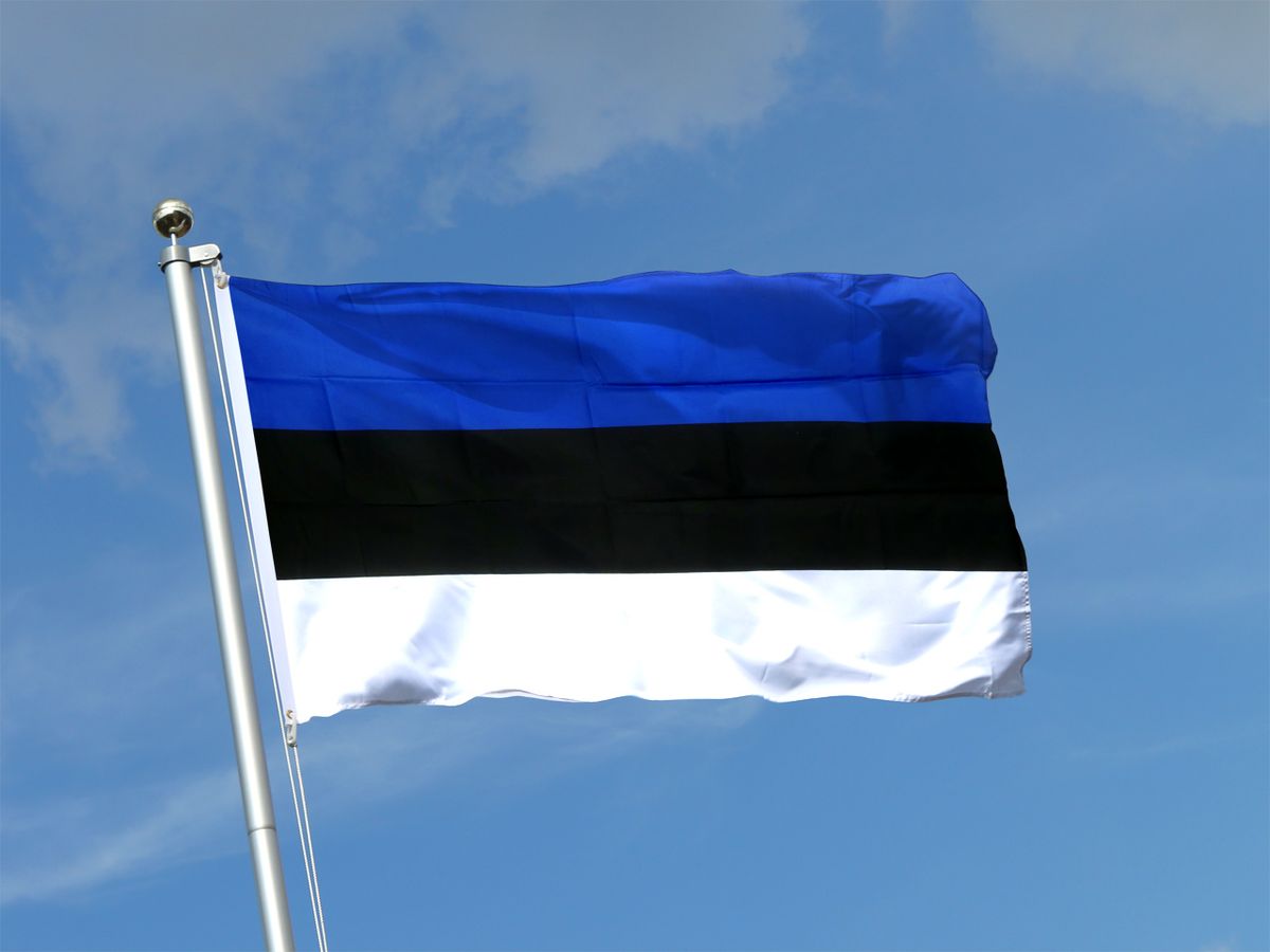 Виза в Эстонию